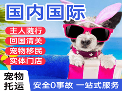 东极航空运输国际宠物托运 【国